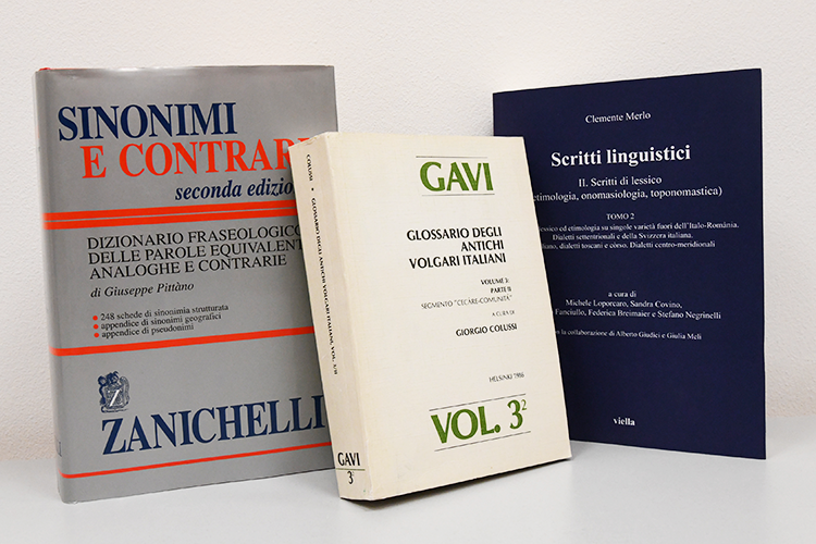dizionario, glossario e testo di "Scritti linguistici"
