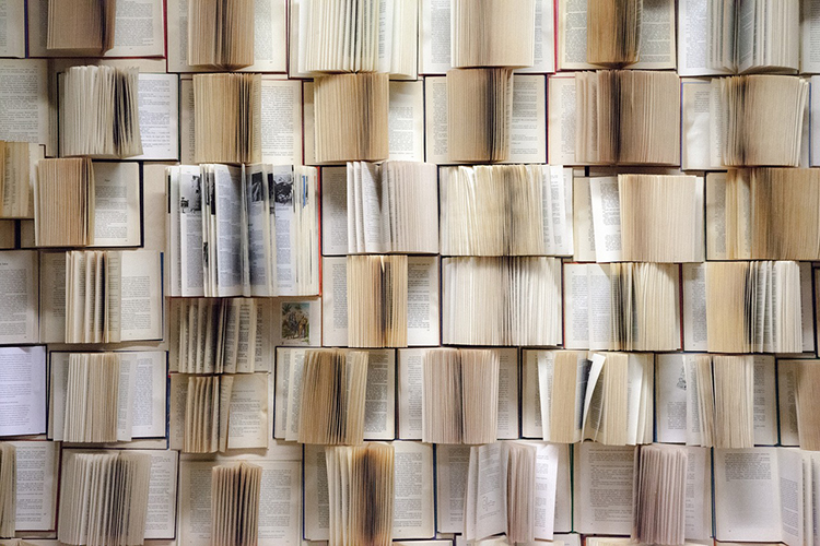 parete tappezzata di libri