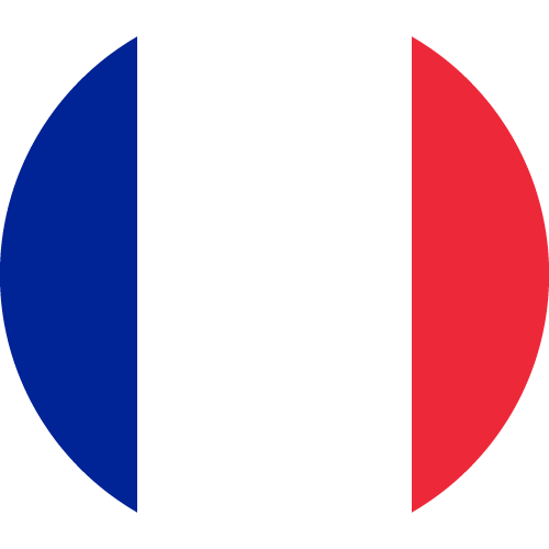 bandiera della Francia