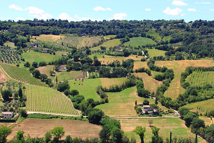 paesaggio collinare