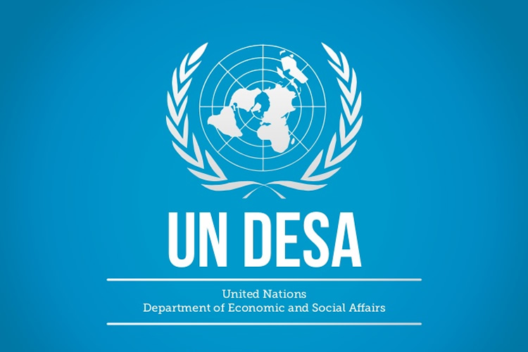 Logo UN DESA