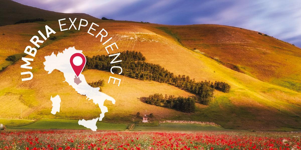 umbria experience