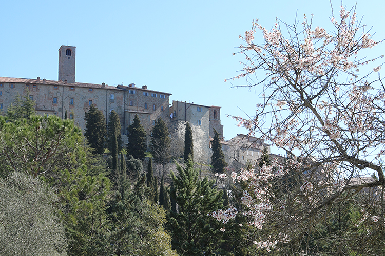 uno scorcio di Scheggino