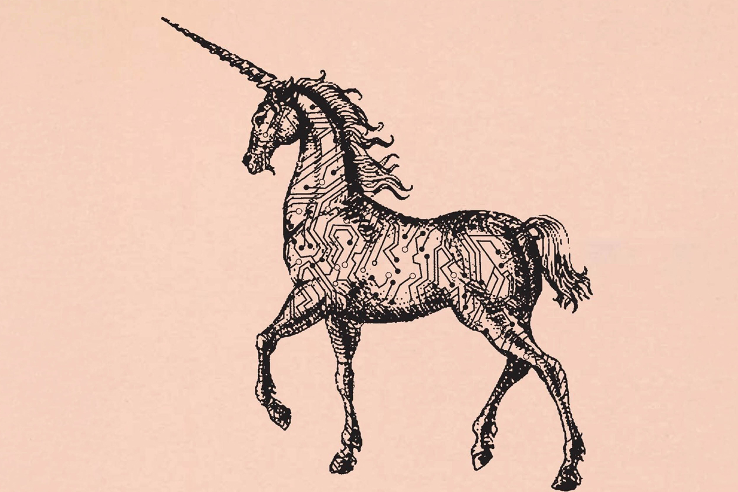 Copertina libro con raffigurato un unicorno