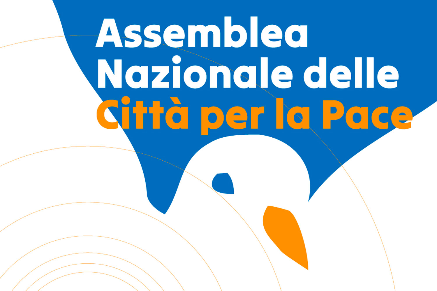 Assemblée Nationale des Villes pour la Paix