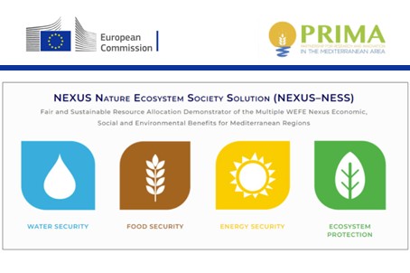 Logo Nexus Ness