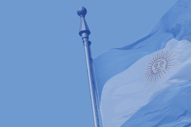 dettaglio della bandiera dell'Argentina
