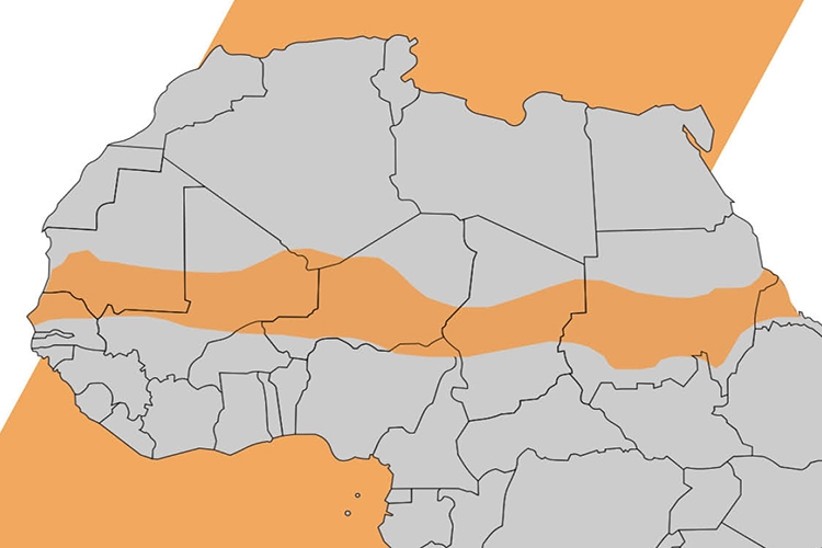 Dettaglio della locandina: particolare della mappa dell'Africa