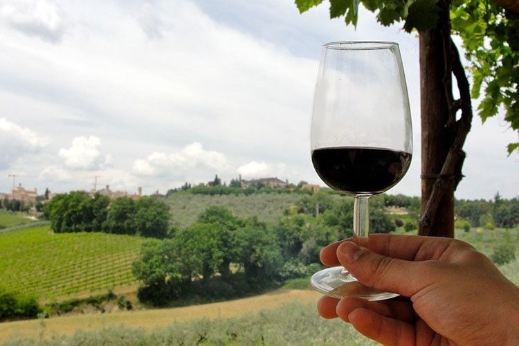 Paeseggio collinare con calice di vino in primo piano