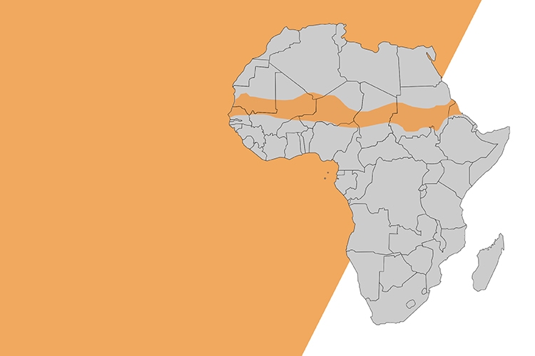 mappa stilizzata dell'Africa