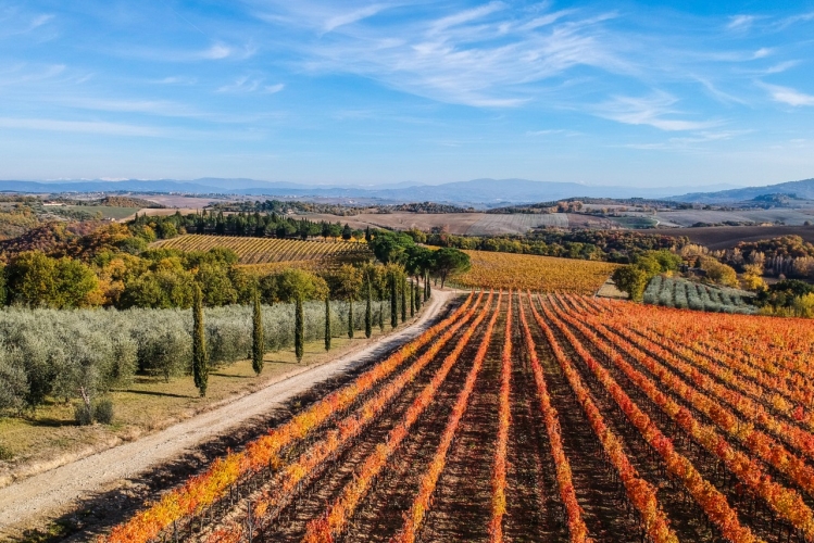 paesaggio agricolo