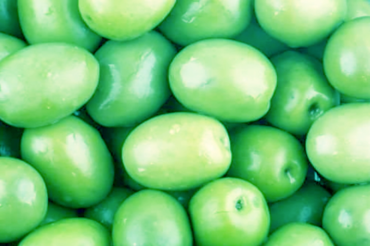 olive verdi