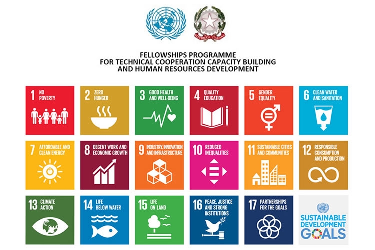 FELLOWSHIPS PROGRAMME