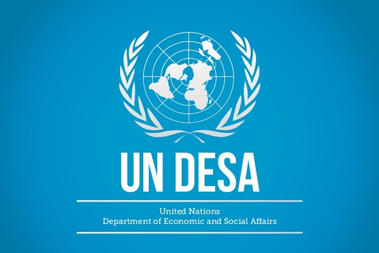 logo UN DESA