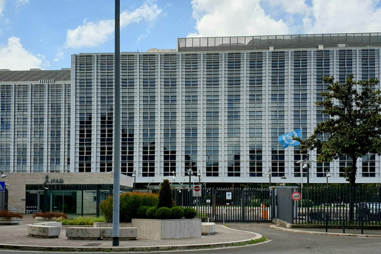La sede centrale IFAD a Roma - Di Carlo Dani - Opera propria, CC BY-SA 4.0, https://commons.wikimedia.org/w/index.php?curid=79325342