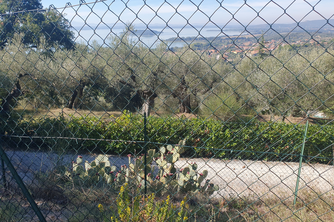 scorcio del lago visto dal sentiero