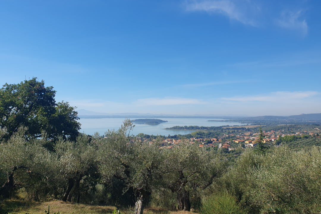 scorcio del lago visto dal sentiero