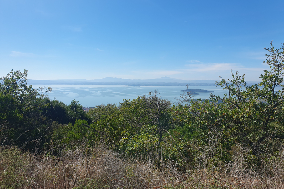 scorcio del lago visto dal sentiero