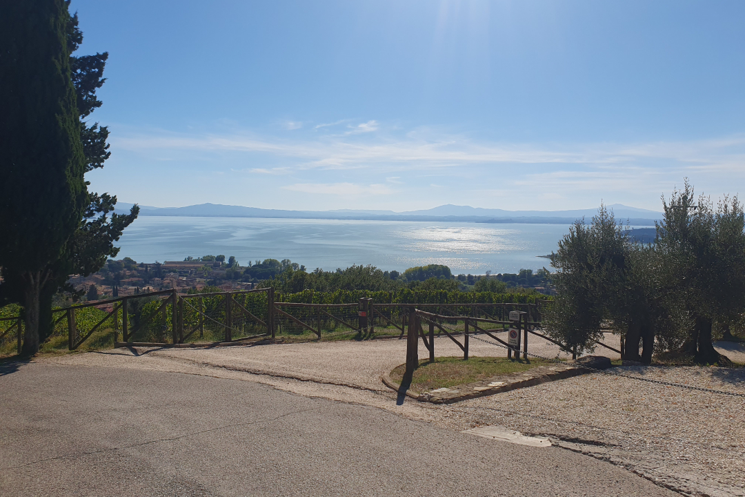 scorcio del lago visto dal sentiero