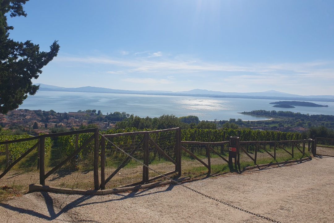 scorcio del lago visto dal sentiero