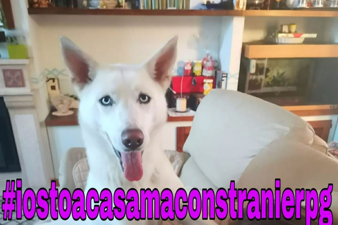 ##IoStoACasaMaConLaStranieriPg