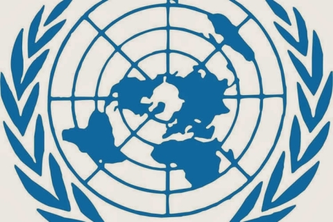 Logo ONU Logo ONU