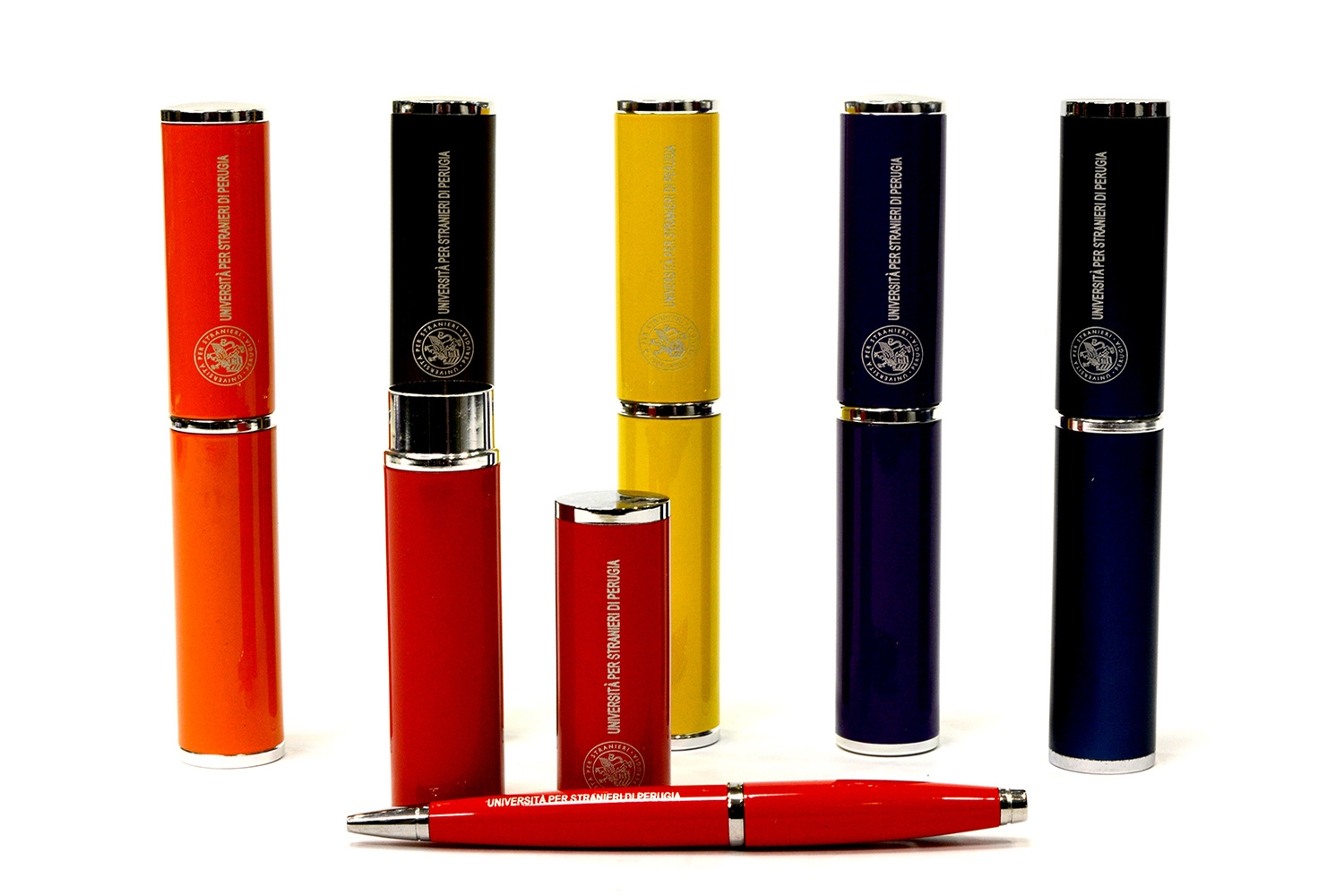 BALLPOINT PEN WITH CASE BALLPOINT PEN WITH CASE